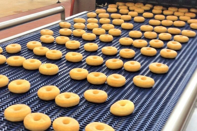 Food Conveyor Belt Systems